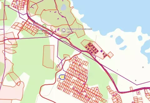 Участок в Челябинская область, Копейск Курочкино-2 СНТ,  (9.5 сот.)