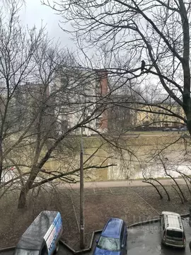 4-к кв. Санкт-Петербург ул. Лени Голикова, 88 (48.9 м)