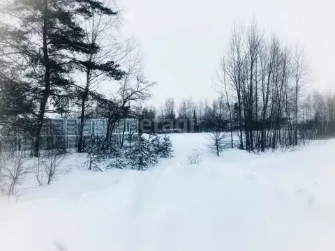 Участок в Калужская область, Калуга Секиотовская ул. (6.45 сот.)