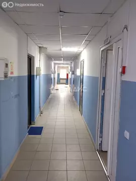 1-комнатная квартира: Благовещенск, Амурская улица, 351 (28.4 м)