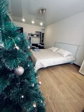 2-к кв. Еврейская автономная область, Биробиджан имени Бумагина мкр, ...