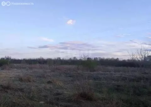 Участок в Омск, 1-й Ясный переулок (8 м)
