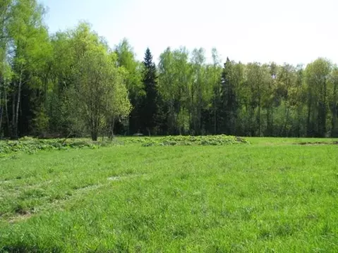 Участок в Амурская область, Благовещенск Нагорная ул. (6.0 сот.)