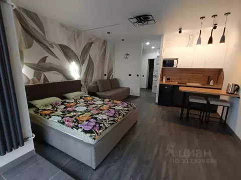 Студия Амурская область, Благовещенск ул. Островского, 116 (30.0 м)