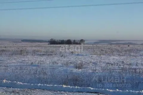 Участок в Брянская область, Брянский район, Журиничское с/пос, пос. ...
