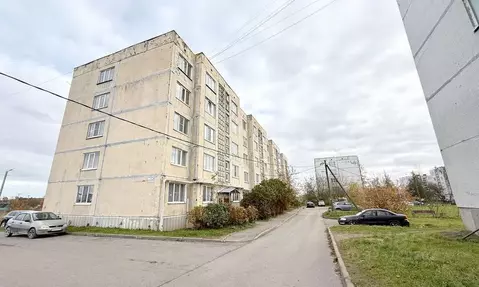 2-к кв. Ленинградская область, Гатчинский муниципальный округ, д. ...