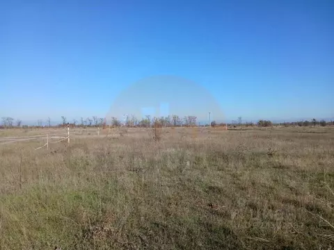 Участок в Крым, Симферопольский район, Николаевка пгт ул. Ленина (6.0 ...