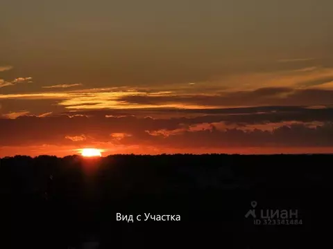 Участок в Севастополь Орешек ТСН, 40 (6.7 сот.)