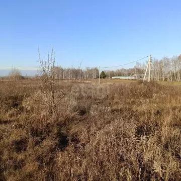 Участок в Тульская область, Щекинский район, Яснополянское с/пос, с. ...