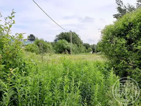 Участок в Ленинградская область, Выборгский район, Рощинское городское ...