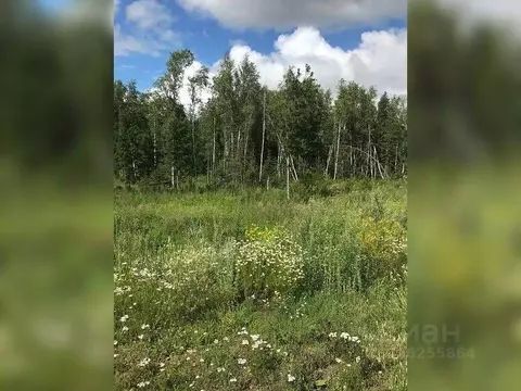 Участок в Томская область, Томский район, д. Кисловка ул. Строителей, ...
