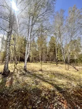 Участок в Свердловская область, Сысертский муниципальный округ, ...