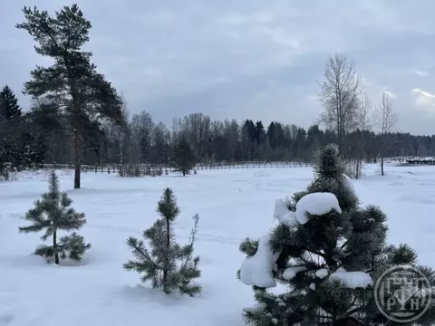 Участок в Ленинградская область, Лужский район, Скребловское с/пос, д. ...