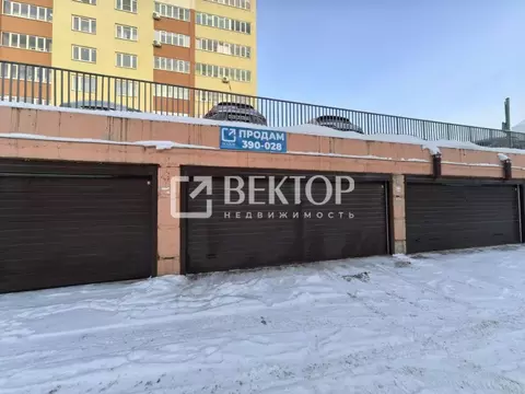 Гараж в Ивановская область, Иваново ул. Добролюбова, 10/14 (15 м)