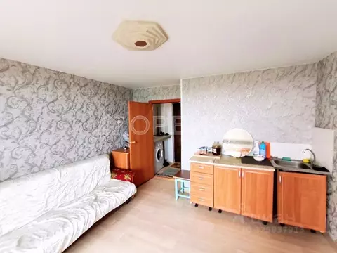 Студия Тюменская область, Тюмень ул. Бабарынка, 16б (17.3 м)