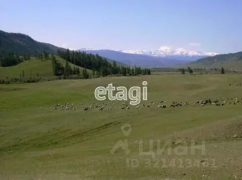 Участок в Алтай, Онгудайский район, Хабаровское с/пос, с. Улита ул. ...