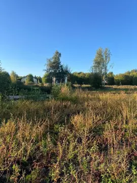 Участок в Московская область, Дмитровский муниципальный округ, Аусбург ...
