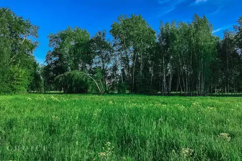 Участок в Московская область, Одинцовский городской округ, д. ...