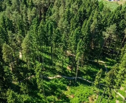Участок в Московская область, Истра муниципальный округ, д. Чесноково, ...