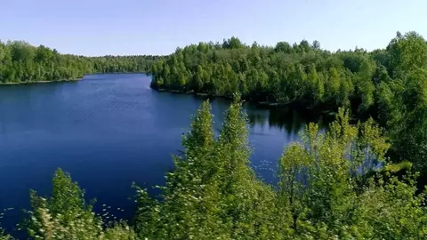 Участок в Ленинградская область, Кировский район, Мгинское городское ...