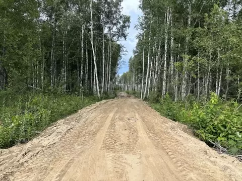 Участок в Тюменская область, Нижнетавдинский муниципальный округ, ...