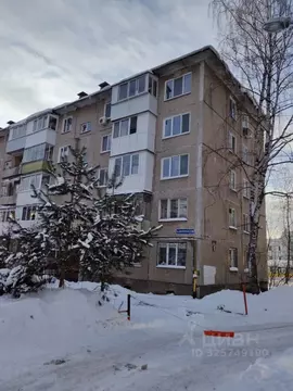 1-к кв. Пермский край, Пермь Братская ул., 16 (31.4 м)