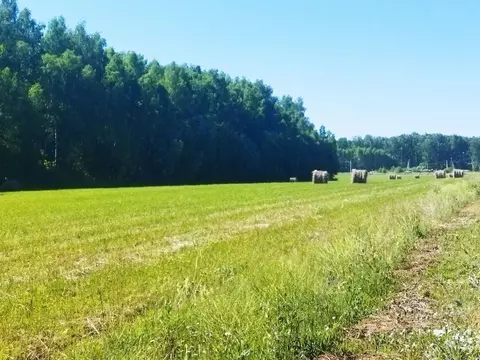 Участок в Тульская область, Ясногорский район, Иваньковское с/пос, ...