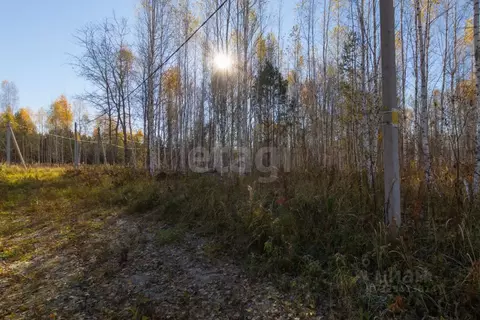 Участок в Тюменская область, Нижнетавдинский муниципальный округ, ...