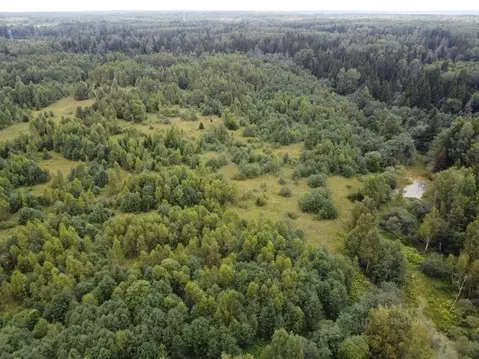 Участок в Московская область, Волоколамский муниципальный округ, д. ...
