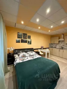 Студия Московская область, Ногинск Богородский городской округ, ул. ...