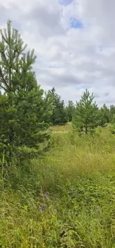 Участок в Челябинская область, Аргаяшский район, Яраткуловское с/пос, ...