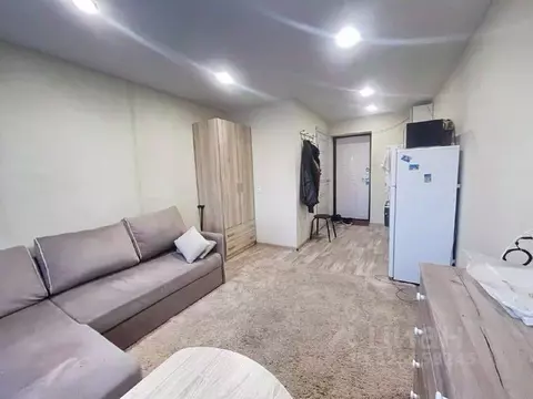 Студия Воронежская область, Воронеж Брянская ул., 68 (17.0 м)