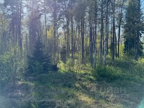 Участок в Ленинградская область, Выборгский район, Полянское с/пос, ...