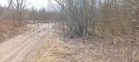 Участок в Ленинградская область, Лодейнопольское городское поселение, ...