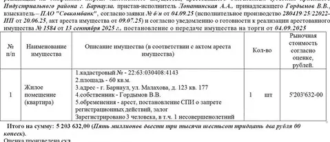 Свободной планировки кв. Алтайский край, Барнаул ул. Малахова, 123 ...