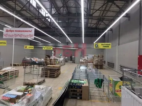 Торговая площадь в Самарская область, Самара Киевская ул., 1 (370 м)