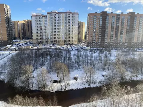 1-к кв. Ленинградская область, Мурино Всеволожский район, ул. Шоссе в ...
