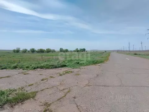 Участок в Оренбургская область, Сорочинский муниципальный округ, с. ...