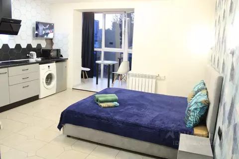 1-к кв. Алтайский край, Барнаул ул. Никитина, 107 (25.0 м)