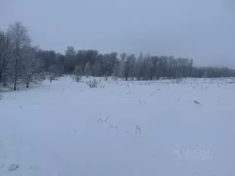 Участок в Московская область, Клин городской округ, д. Ковылино  (12.0 ...