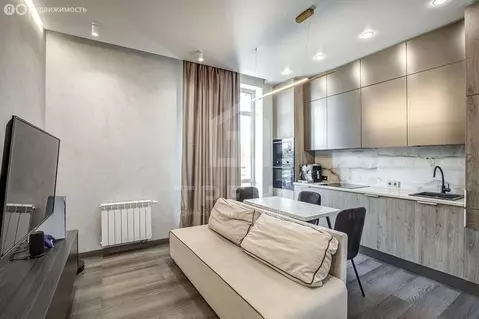 1-комнатная квартира: Санкт-Петербург, Новая улица, 51к41 (43 м)