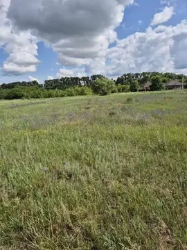 Участок в Белгородская область, Старооскольский городской округ, с. ...