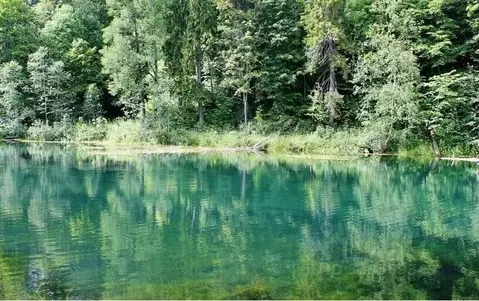 Участок в Ленинградская область, Ломоносовский район, Ропшинское ...