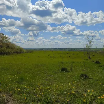 Участок в Тульская область, Донской Задонье мкр, Трудовая ул. (30.0 ...