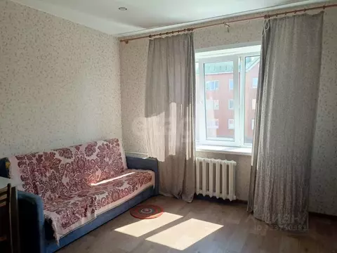 Студия Новосибирская область, Бердск Черемушная ул., 53к2 (23.7 м)