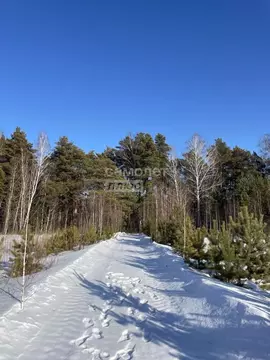 Участок в Тюменская область, Тюменский район, с. Княжево Комсомольская ...