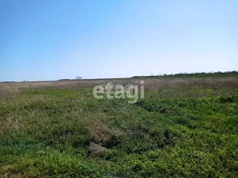 Участок в Крым, Черноморский район, с. Межводное ул. Спортивная (220.0 ...