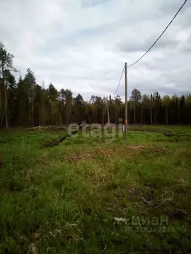 Участок в Коми, Корткеросский район, Додзь муниципальное образование, ...