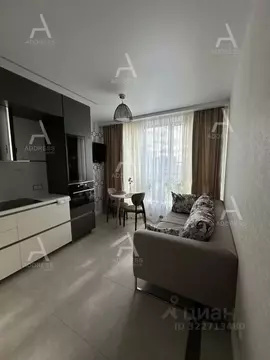 1-к кв. Санкт-Петербург ул. Челюскина, 4 (40.0 м)