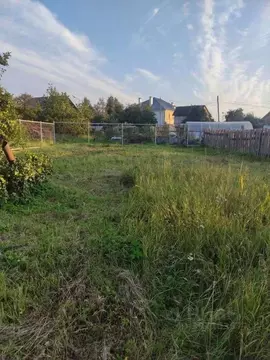 Участок в Новгородская область, Шимск рп Р-56, 48-й км (6.0 сот.)